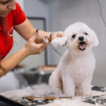 Is Pet Grooming Good or Bad?